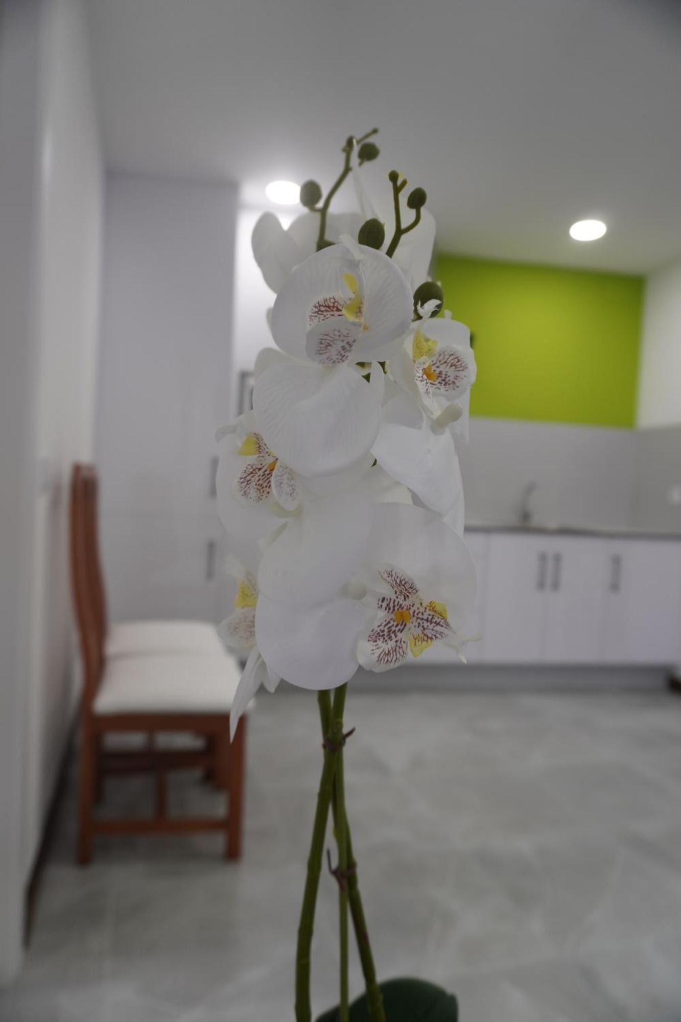 Apartamento Sanin 3 Lumbrales Exteriér fotografie